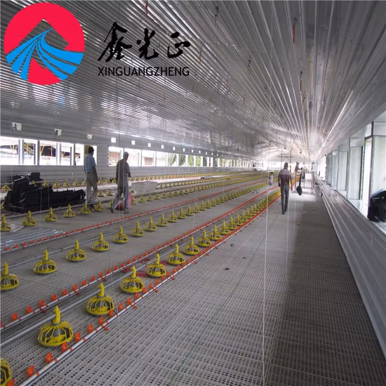 Китай горячая распродажа мобильных яиц куриная курица простая установка устойчивая к ураганам стальная конструкция птичник